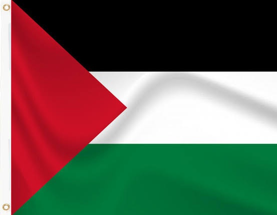 🚨⚠️ÚLTIMA HORA ⚠️🚨

🇧🇪Bélgica dice que planea reconocer a Palestina y sancionar a Israel.

"Debemos utilizar todos los medios a nuestra disposición para prevenir el genocidio"