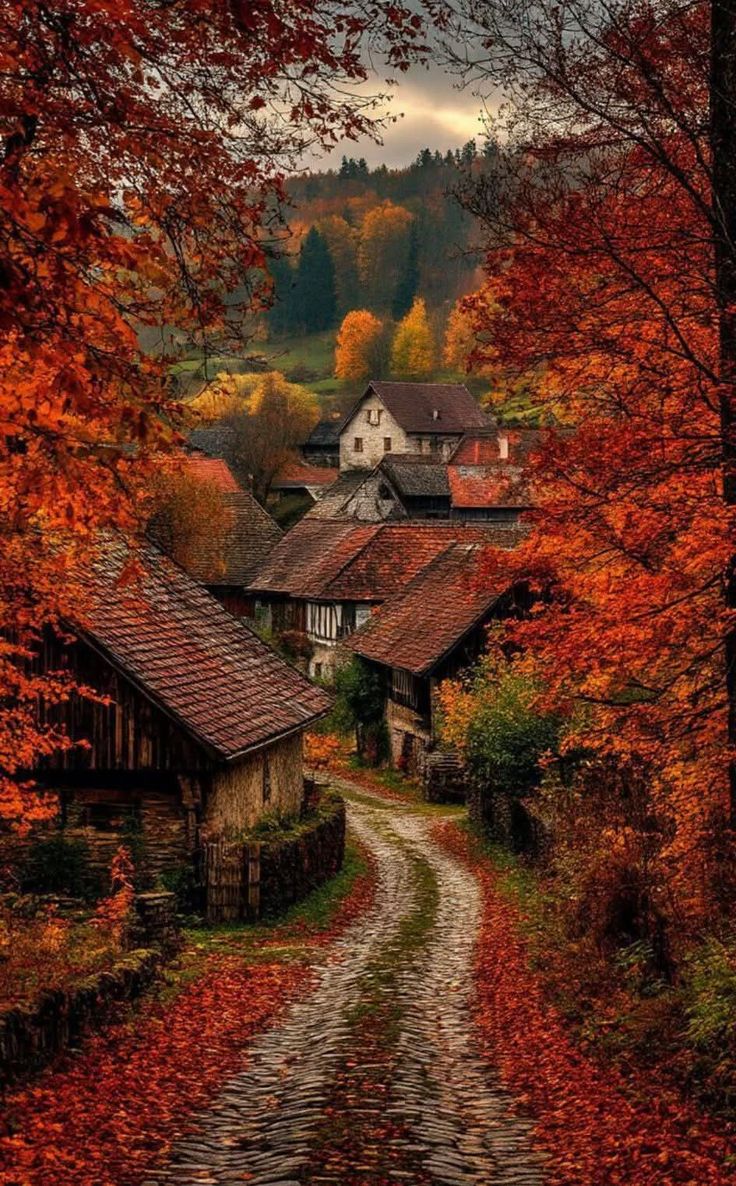 autumn girl tweet media