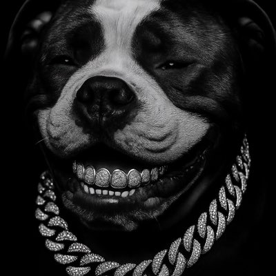 gucci4chavez's tweet photo. #NewProfilePic https://t.co/6VO8eshiTC