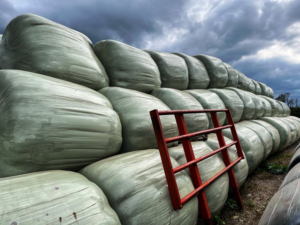 Silage bales, near Wike (north of Leeds)

5.19m, 23rd August 2025