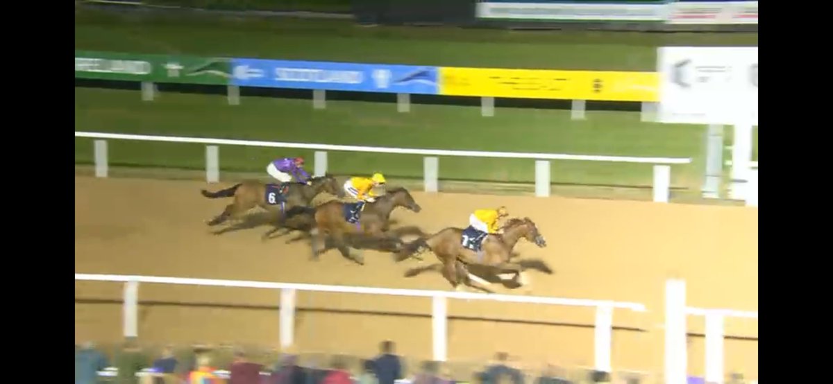 Crowd Quake 6/1 Winner for Patreon members.

Quality day which we haven’t had for a while well overdue 👏 

patreon.com/ExpressPuntsX?…