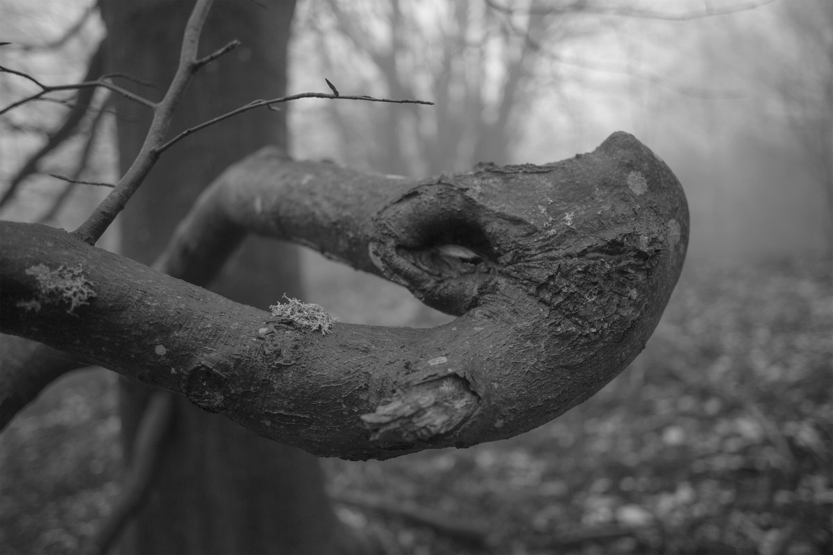 Alexander (@juststrangefeel) on Twitter photo 