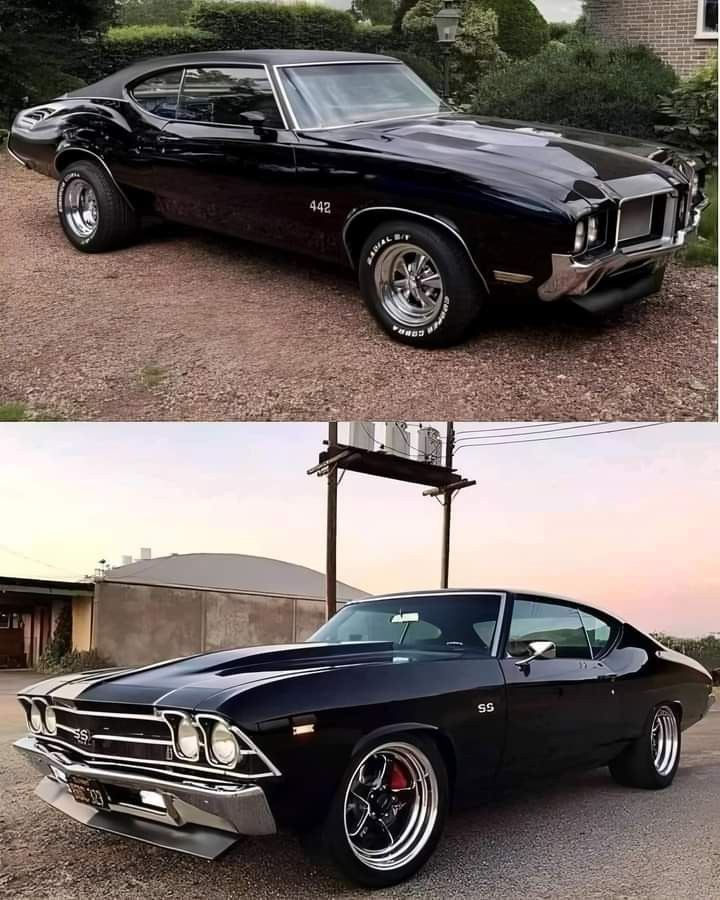 *
* *
Top or Bottom ? ? ?  🤔

_.-?-._     🧐