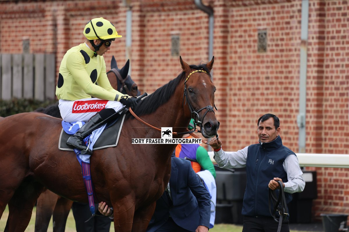 Rory Fraser Photography🤘 (@92roryf) on Twitter photo Fourth at York on Saturday in the Group One City of York Stakes (7f), ROSALLION (Blue Point x Rosaline)
Trained by <a href="/rhannonracing/">Richard Hannon</a>, owned by Sheikh Mohammed Obaid al Maktoum and ridden by <a href="/LeveySean/">Sean Levey</a>.
A top class, three time Group One winning miler. Fourth at York on Saturday in the Group One City of York Stakes (7f), ROSALLION (Blue Point x Rosaline)
Trained by <a href="/rhannonracing/">Richard Hannon</a>, owned by Sheikh Mohammed Obaid al Maktoum and ridden by <a href="/LeveySean/">Sean Levey</a>.
A top class, three time Group One winning miler.