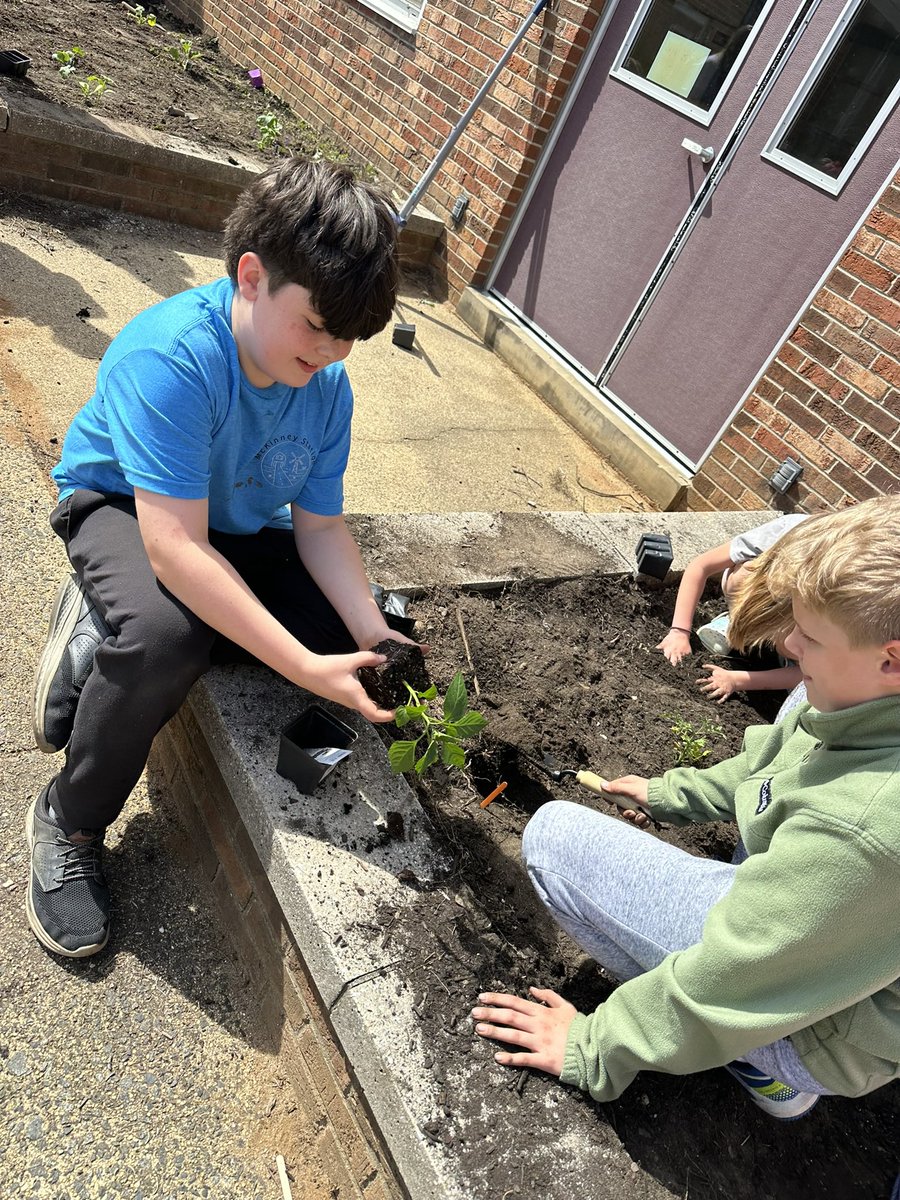 Our vegetable garden at <a href="/ConoverRoadES/">CRES</a> is still going strong!🍅 The SUSHI club kids worked hard this season researching which plants grow best in NJ temps, preparing the garden beds &amp; planting w/ appropriate sunlight &amp; spacing!  Great to see the fruits of their labor! <a href="/CNSchools/">Colts Neck Schools</a>