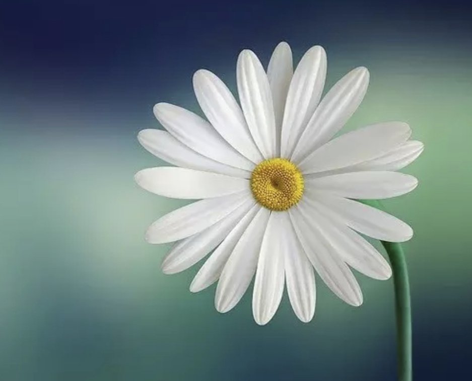 Una sola 
e non #molteDomande 
Ma tu
Mi hai mai amata...?