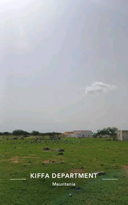 كيفة الخريف