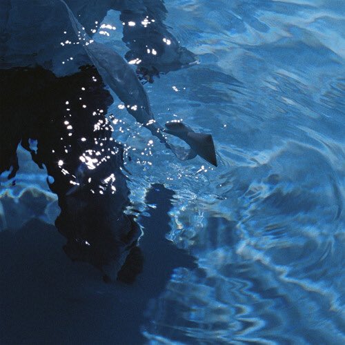 LaponeFanFrance's tweet image. &amp;lt; COMEBACK 🧸 [24.08.25] &amp;gt;

Le single #LikeWater de #FENGFAN est officiellement sur toutes les plateformes de streaming depuis aujourd’hui !

——
@official__INI #INI