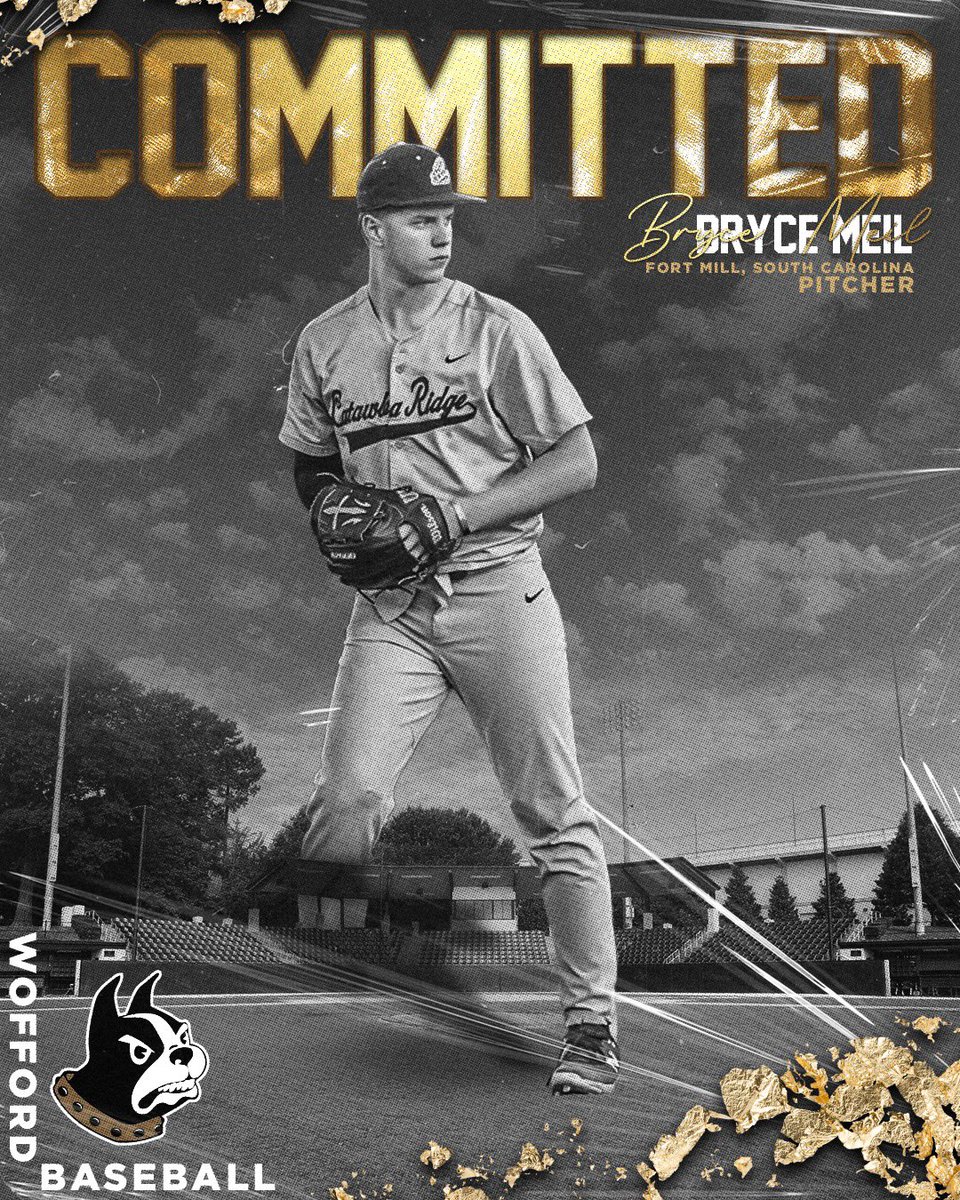 Bryce Meil tweet media