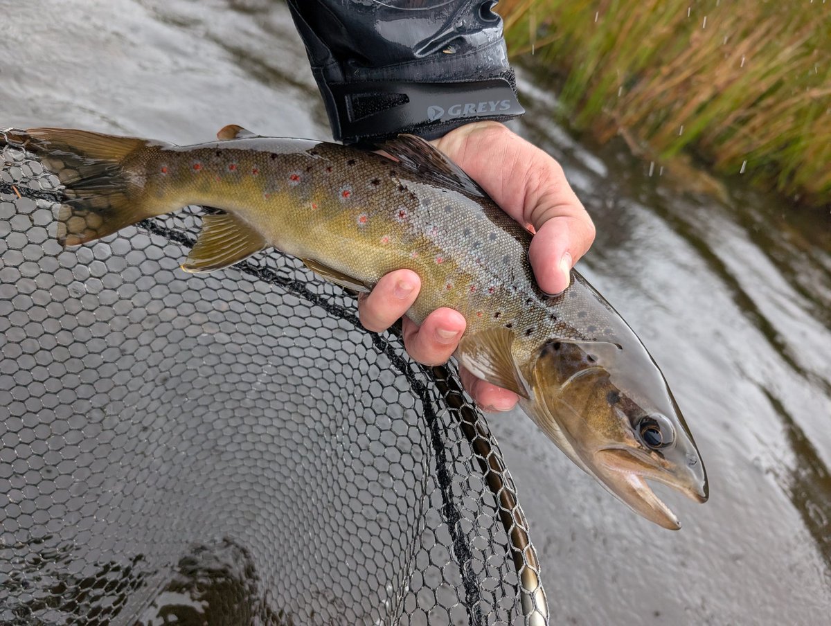 Ceri Thomas tweet media