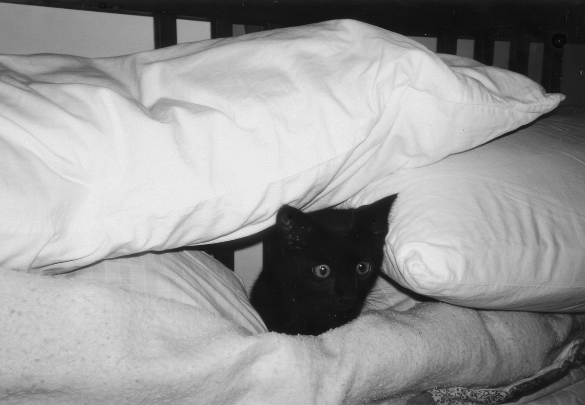 dark everything (@drkevrythng) on Twitter photo 