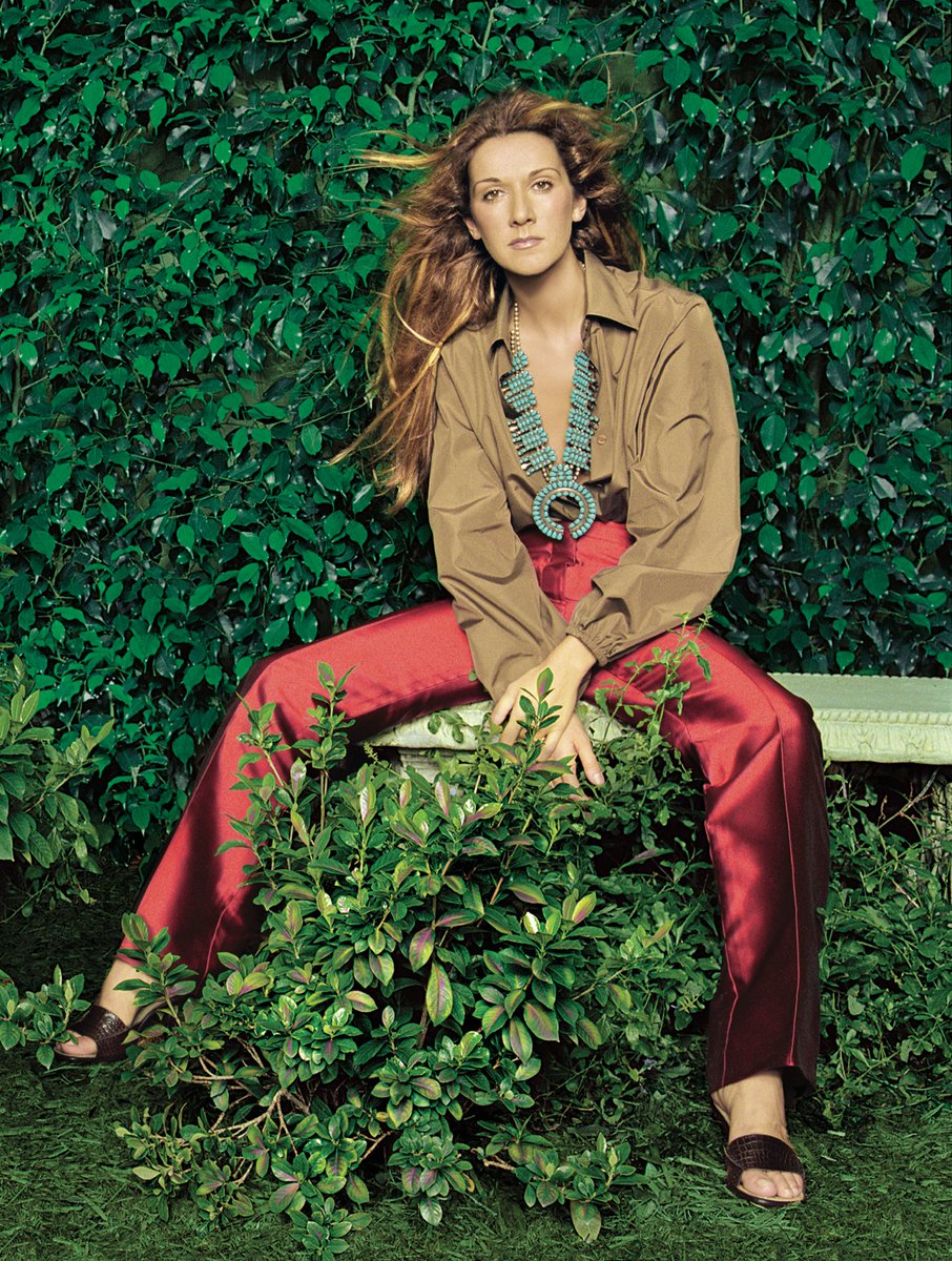 Celine Dion tweet media