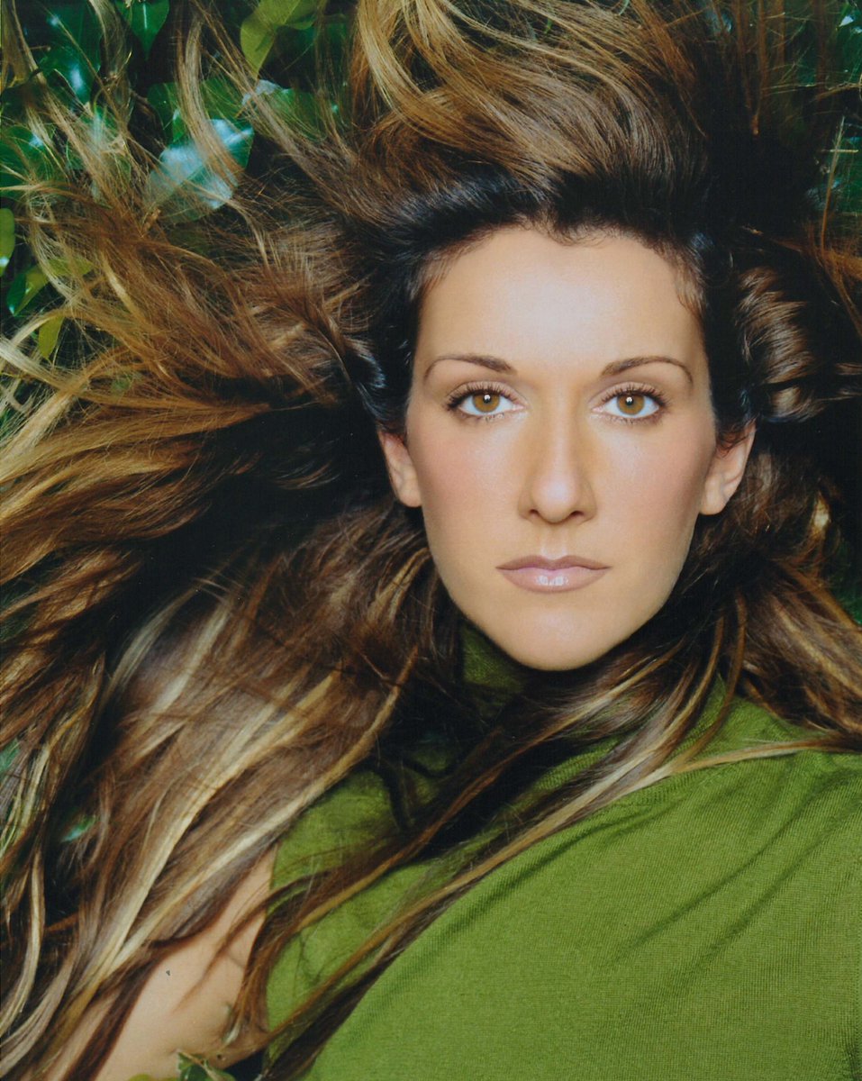 Celine Dion tweet media