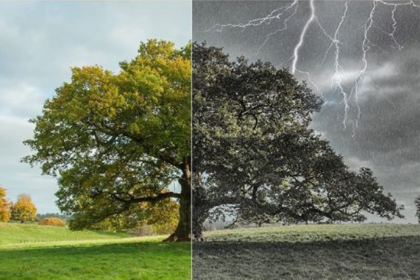 photowhoa's tweet image. Changing the Weather Is Now at Your Fingertips🌦️ 
Nature Projects Review – Transform skies, seasons, and moods in your photos!
Check out- vist.ly/44wvc 
#naturephotography #editing #editingsoftware #natureedits