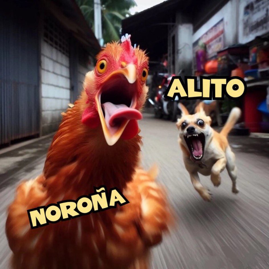 Noroña
🤣🤣 El Alfredo Adame chairo!
