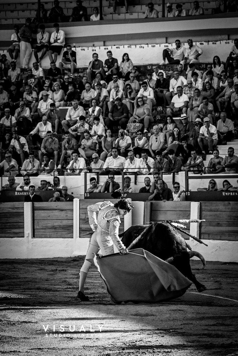 Visualy Studio 📸 | 🎥 tweet media