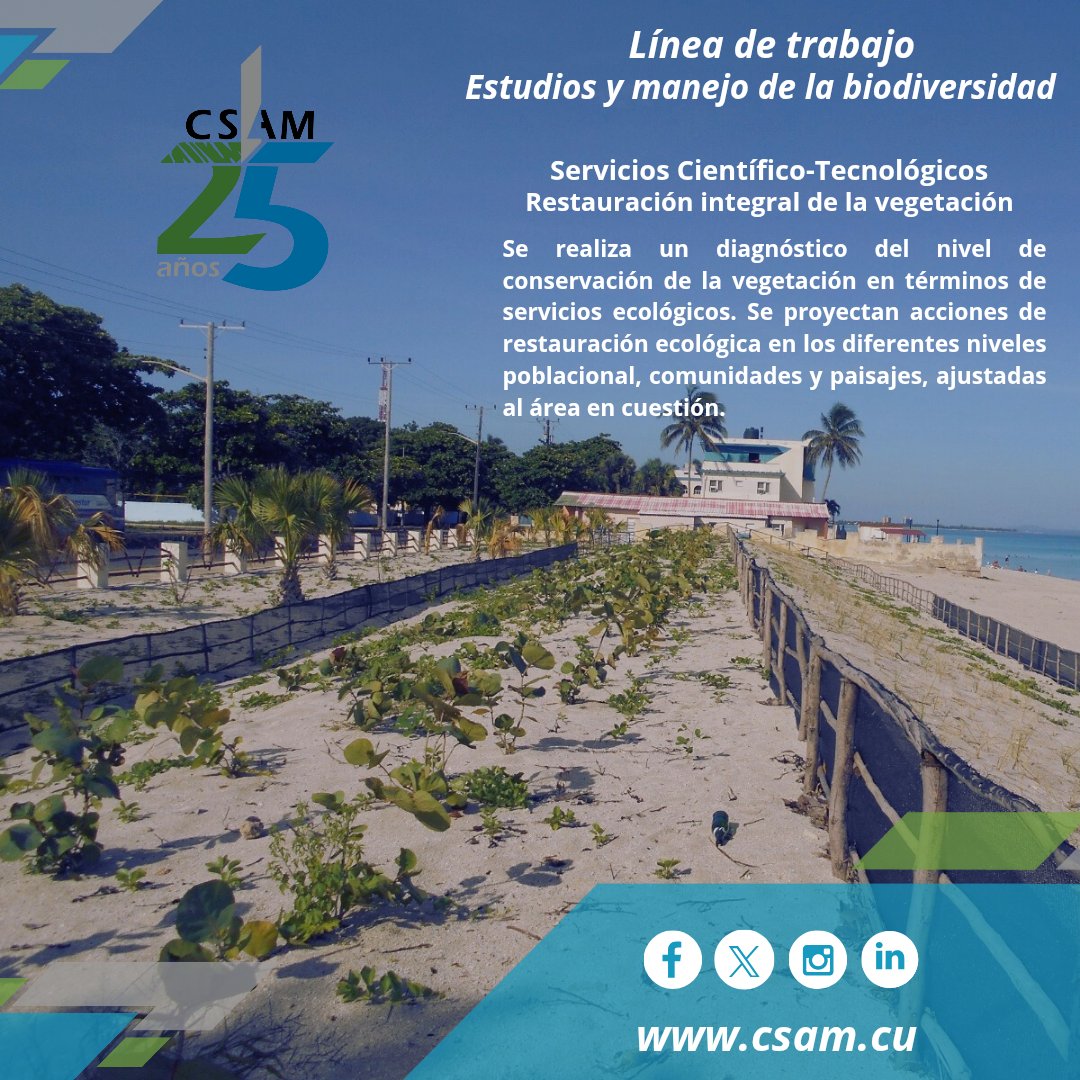 ✅😉La RESTAURACIÓN INTEGRAL DE LA VEGETACIÓN constituye otro de nuestros servicios científico-tecnológicos‼️

📍 WhatsApp o Telegram al +(53) 59992820

#líneasdetrabajo #ServiciosCientíficoTecnológicos #Cumplimos25 #25deCompromiso #25XlaSostenibilidad #CSAM #AMACuba #CitmaCuba