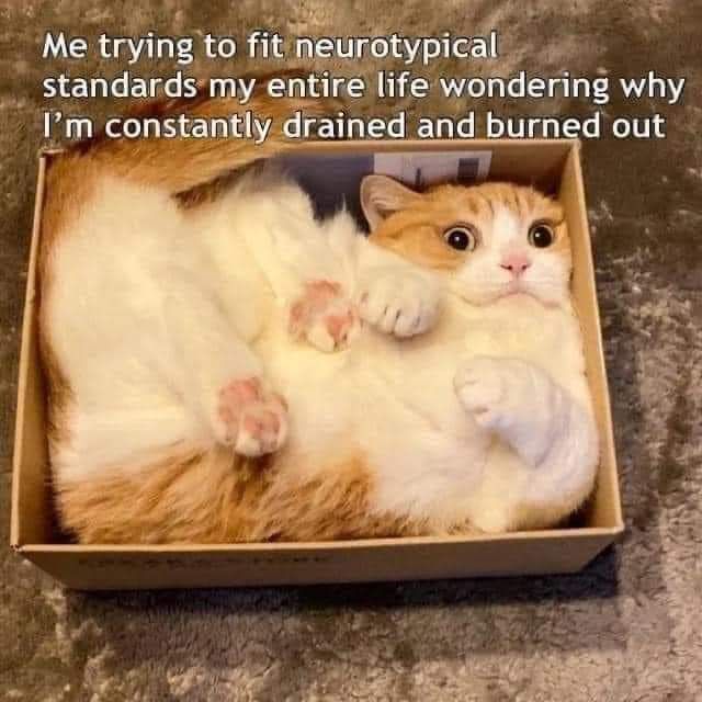 AuthorSarahAwa's tweet image. 😝
#ActuallyAutistic #neurodivergent #ADHD #TakeCare