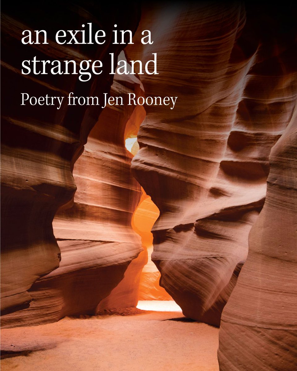 flyleafmag's tweet photo. Our week wouldn’t be complete without poetry. Dive into this week’s feature by Jen Rooney on our Substack now!

Check it out here: https://t.co/aTIVfaT1S8

#litmag #literarymagazine #poetry #writing #writingcommunity https://t.co/zdVquTdGWx