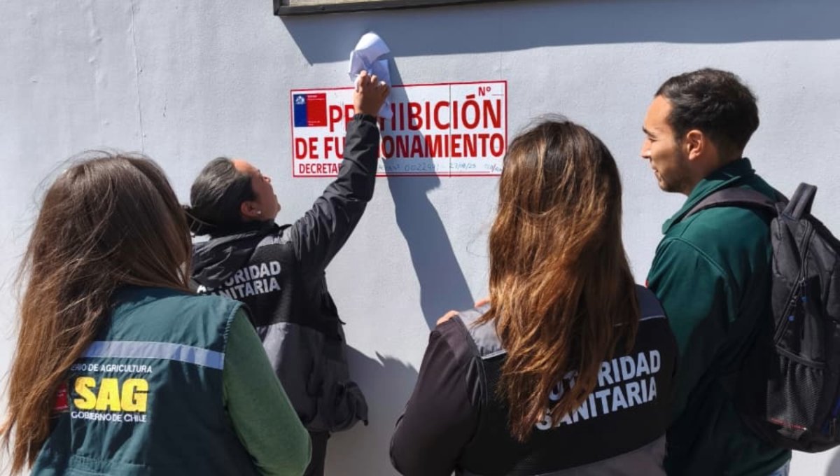 Fiestas patrias: Fiscalización conjunta entre el SAG y la Seremi de Salud de #Antofagasta dio inicio a tres sumarios sanitarios radioua.cl/fiscalizacion-…