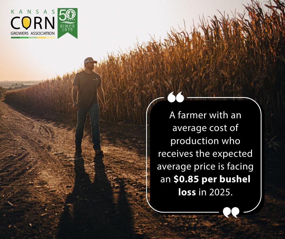 This week, the National Corn Growers Association (NCGA) continued to raise alarm about the economic crisis hitting rural America, as commodity prices drop at a time when input costs remain at near-record highs. We will continue to join them in advocating for solutions to widening