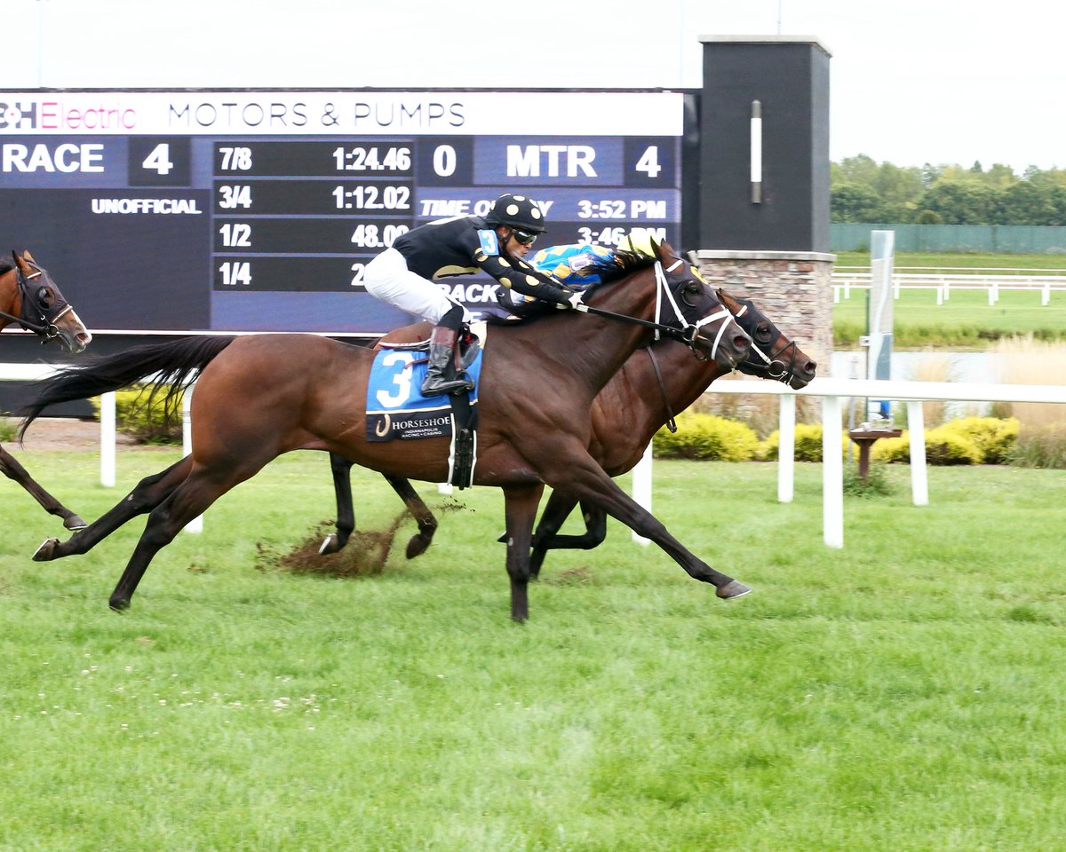 JohnGDooley's tweet image. OH, that was close. PERSONAL CREED ($44.00) holds on over Patronage (@trainerMMaker had won the Spa Opener) with @keithasm7 for Steve Asmussen and owner Mike McCarty in Maiden Turf Mile @HSIndyRacing on Thursday’s card to start off the $1.00 Horseshoe Hat Trick All-Turf Pick 3.