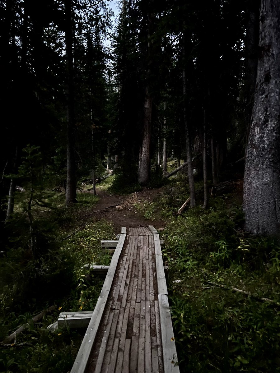 V_irvin_V's tweet image. I am incapable of conceiving infinity, and yet I do not accept finity. I want this adventure that is the context of my life to go on without end.