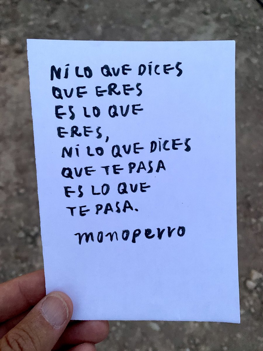 monoperro tweet media