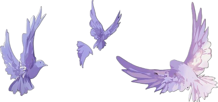 ℜ𝔲𝔪𝔦. (@extasiadosss) on Twitter photo 