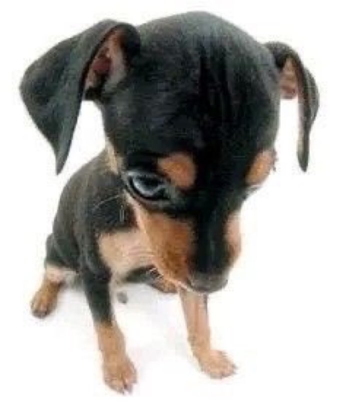 meus amigos do teatro foram pro bar mas eu nao pude ir