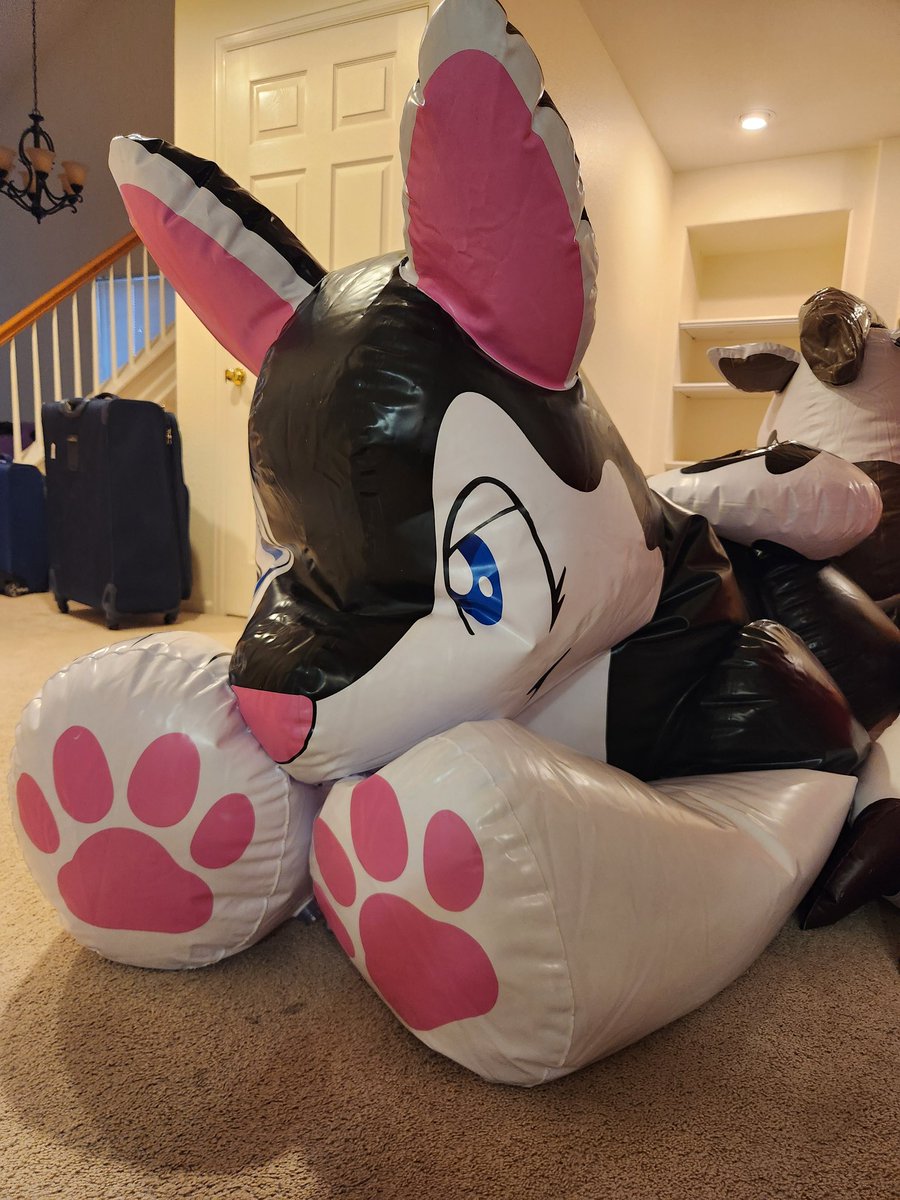 kaiserthebloo's tweet photo. First order of business for packing is fitting this bitch into a carry on :D https://t.co/VrR6AMM1nb