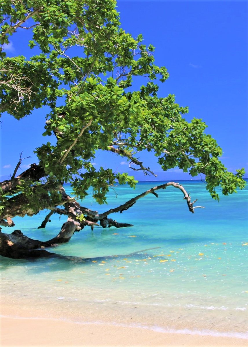 Taveuni-Fiji.