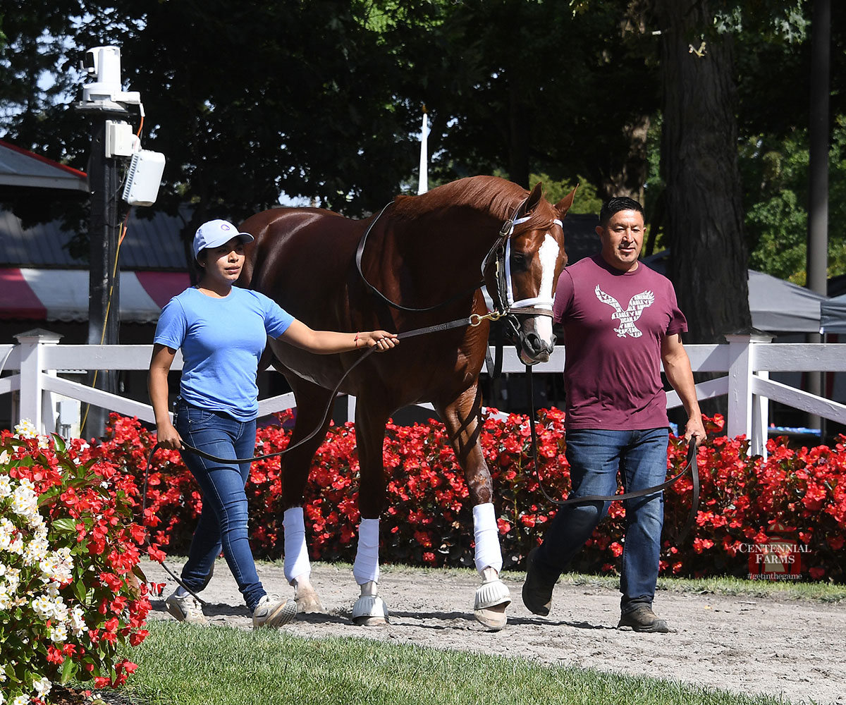 Centennial Farms (@centennial_farm) on Twitter photo August 28, 2019. August 28, 2025. Three days later, Preservationist won the G1 Woodward. Three days from now, his son, Antiquarian, tackles the G1 Jockey Club Gold Cup.
<a href="/DailyRacingForm/">Daily Racing Form</a> story: tinyurl.com/mwhhafcr
<a href="/BloodHorse/">BloodHorse</a> story: tinyurl.com/bbp8rc7a August 28, 2019. August 28, 2025. Three days later, Preservationist won the G1 Woodward. Three days from now, his son, Antiquarian, tackles the G1 Jockey Club Gold Cup.
<a href="/DailyRacingForm/">Daily Racing Form</a> story: tinyurl.com/mwhhafcr
<a href="/BloodHorse/">BloodHorse</a> story: tinyurl.com/bbp8rc7a
