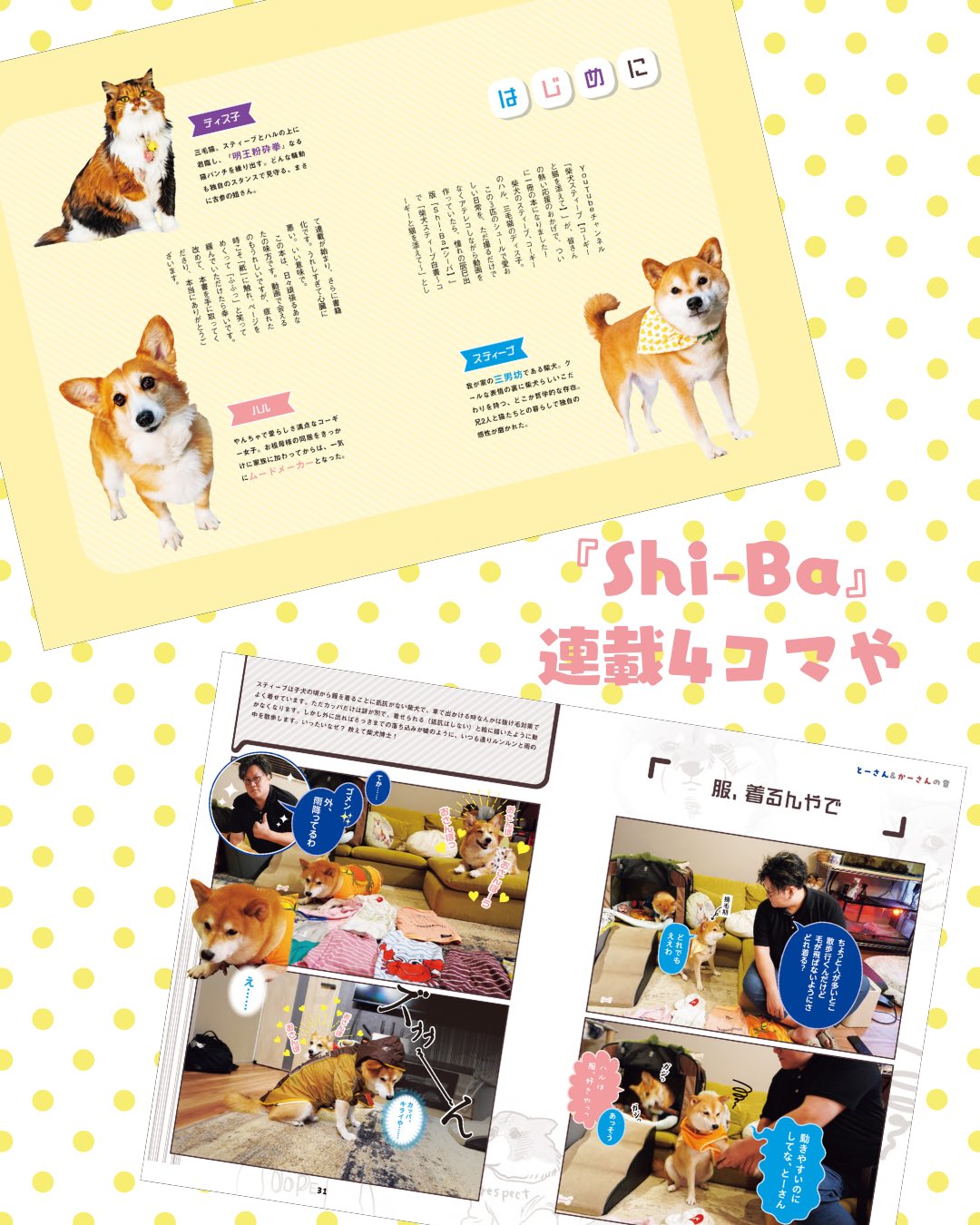 しばけん様　予約分　生活 Shi-Ba【シーバ】＋犬びより (@ShiBa2929) / X