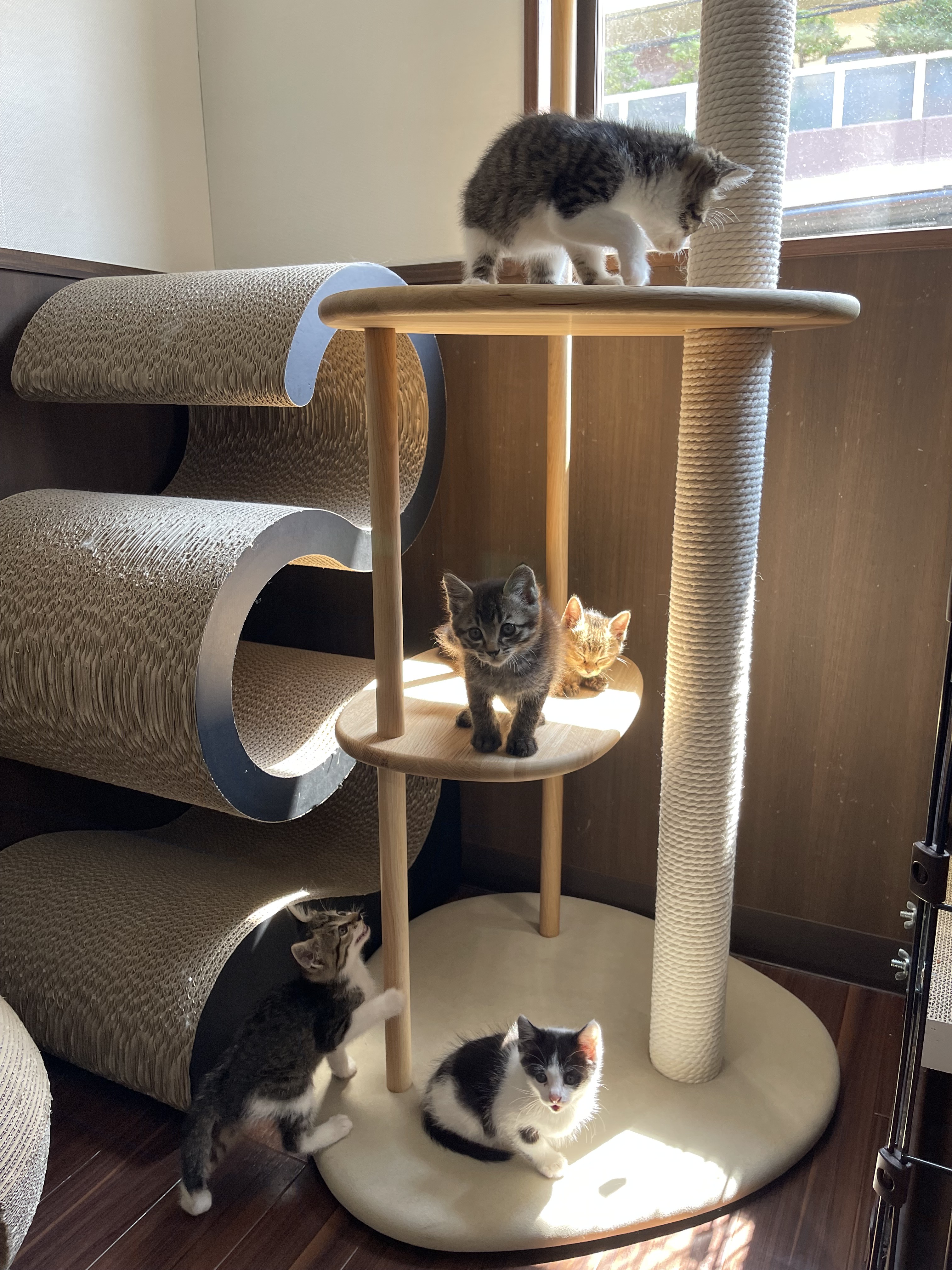 MEOW☆23様♥専用ページ 【公式通販】