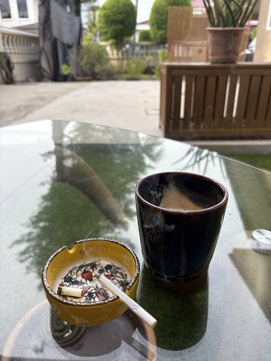 gm, now say it back birb