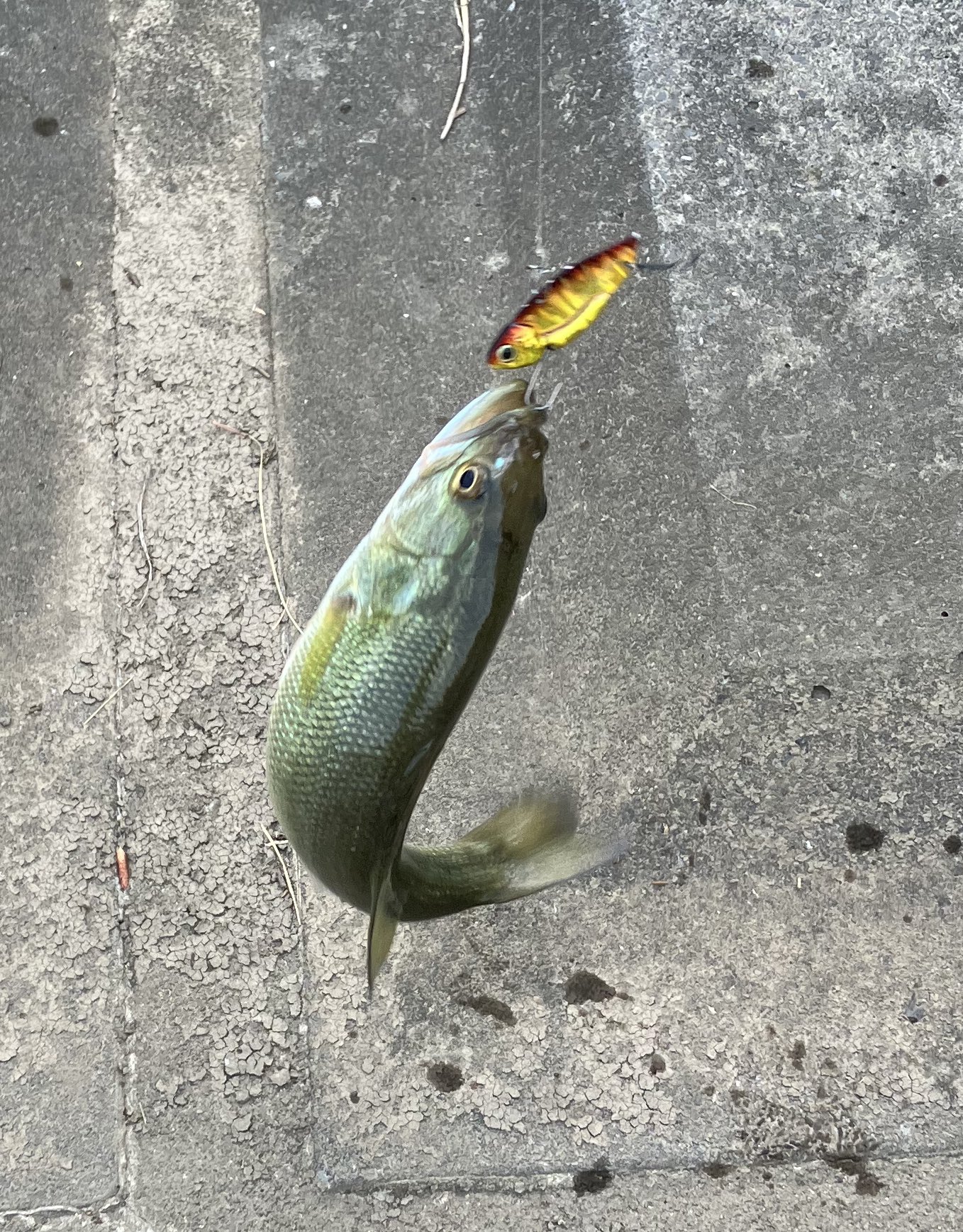 まさ太郎 (@x634x) / X