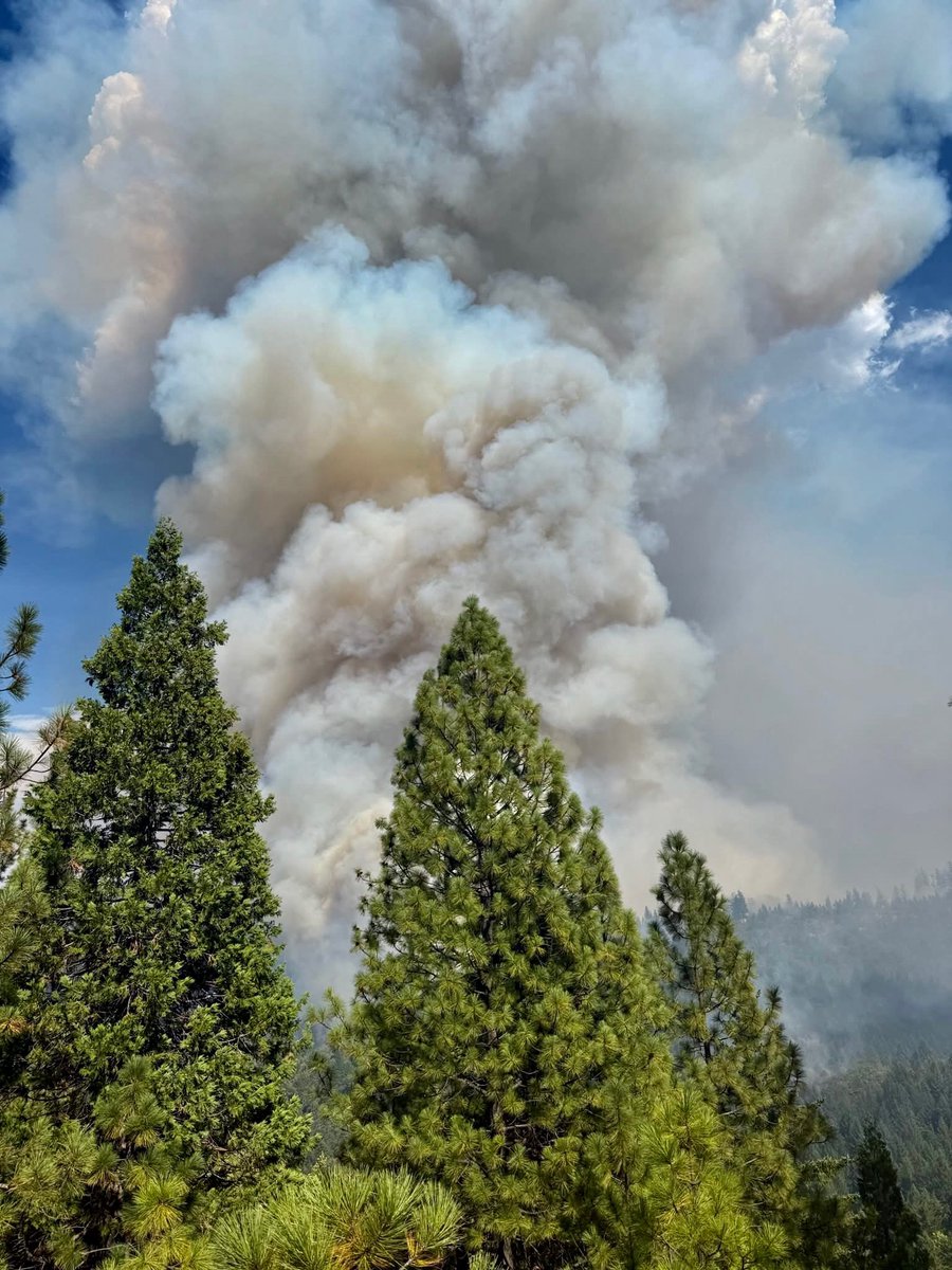 California: Welcome to Happy Camp… California Complex Incident Management Team 1 will take command of the 3,340 acre Dillon Fire tomorrow and ICP will be set up in Happy Camp. The capital of poison oak and Bigfoot. 

Additional crews and engines arrived overnight and into the