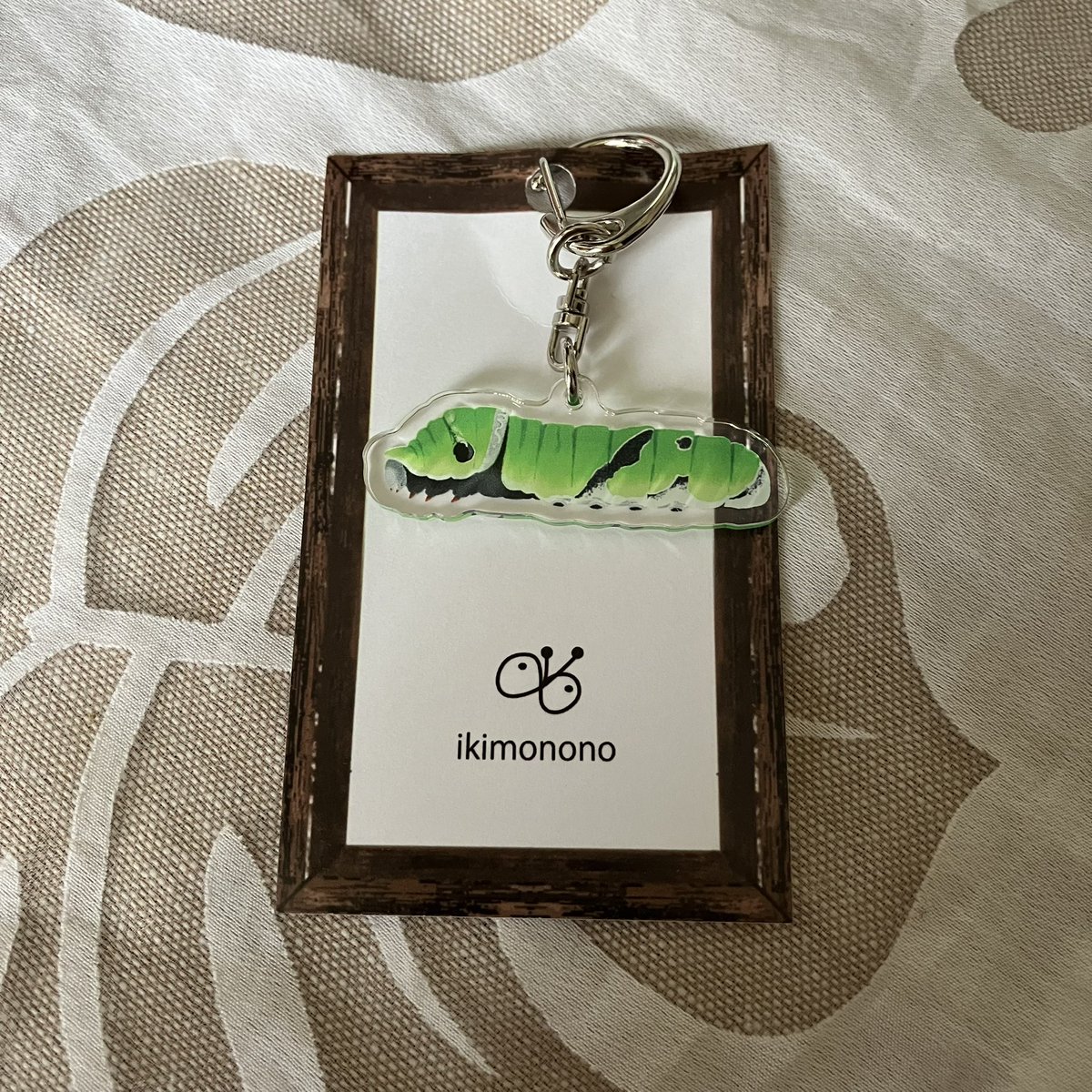 ChummyLu's tweet photo. モンキアゲハのアオムシ時代のアクリルキーチェーンを買った💚
ナミアゲハのアオムシ時代が欲しいな💚
自分で作れるものなのかな？だったら観察日記を再開するけど。
#kanakirisuzume1 https://t.co/HnZ6uJfPhS