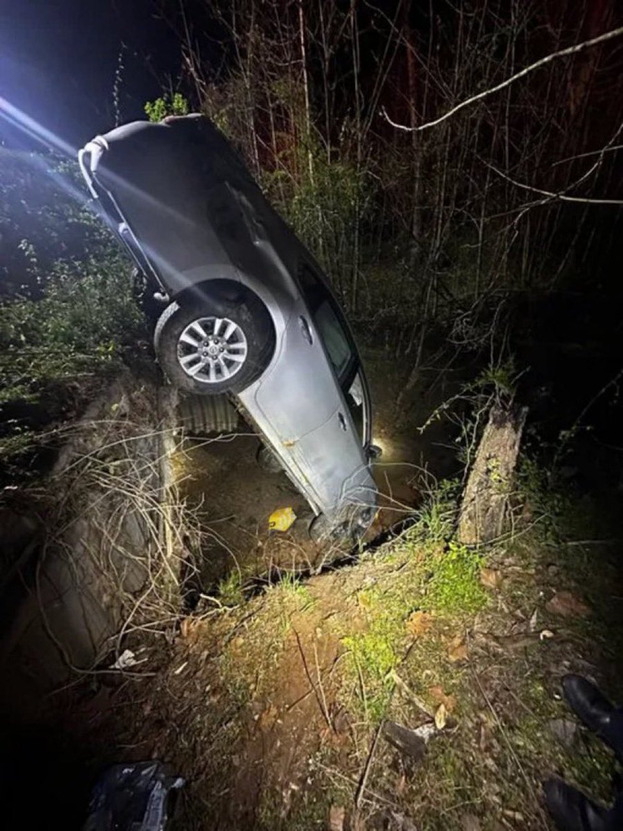 megalopolisian tweet media