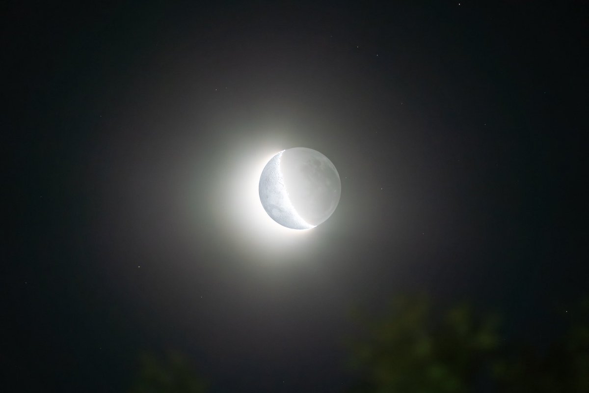 GLSpro's tweet photo. #Luna C.C. 28/08 19:19 28% desde #SanLuis. 16 mosaicos con 600 fotos apilados.
Hermosa tarde de luna 🤗.
SonyAlpha 7 RIV / 70-350mm.
#GLSpro @SonyAlpha @toro_an @LeoAstronomada @MoonHourSocial @M1ONLOVER @ceretta_alberto #moon #argentina 🇦🇷 https://t.co/2r5bkzJhr7