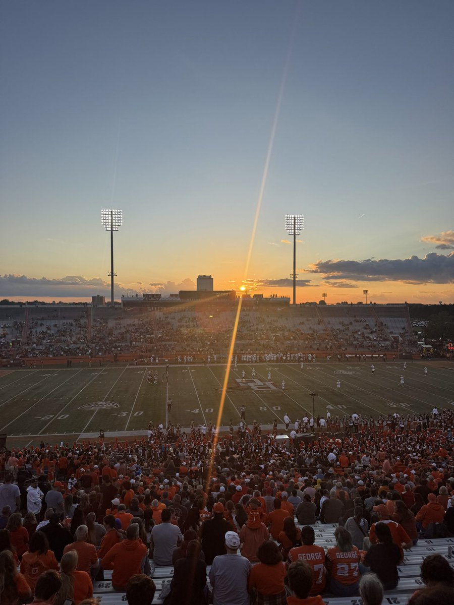 Jamie Hall tweet media