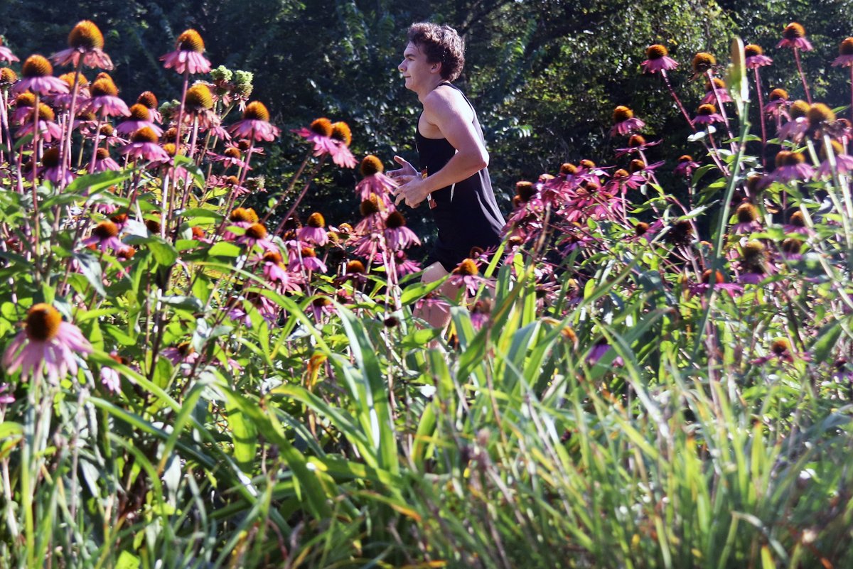 CC Press Sports tweet media