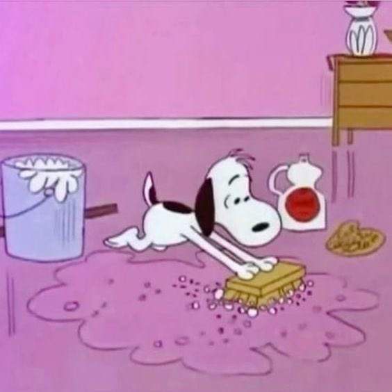 DailySnoopys's tweet photo. 🧽🫧🧹 https://t.co/mRMuw3Ykbc