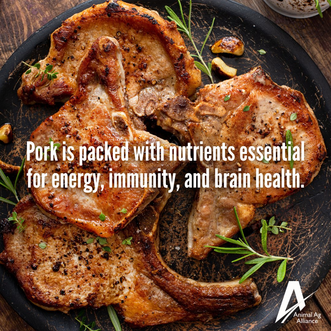 Pork provides zinc, potassium, copper, thiamin, and choline. Nutrients that support immunity, boost energy, and fuel brain support. 🧠 bit.ly/3HC1pMa