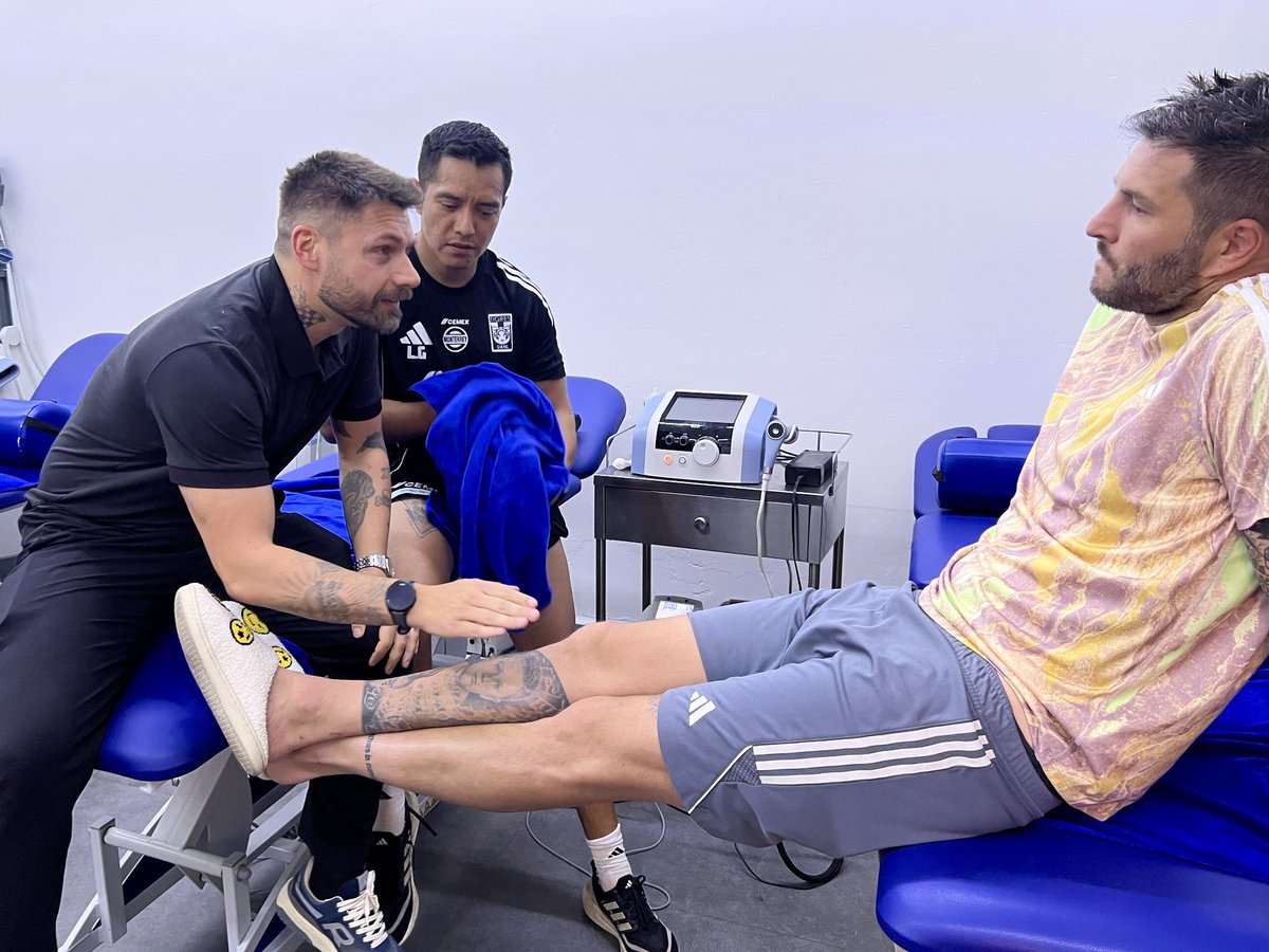 SancadillaNorte's tweet photo. Este par 🥹 🇫🇷🇧🇷🐯 https://t.co/2u7ocgNd5J