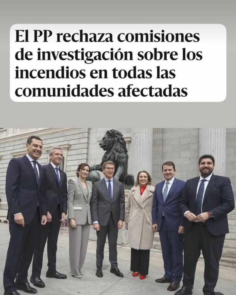 No comprendo como el PP vota en contra de las comisiones de investigación de los 7291 muertos de Madrid , de la DANA de Valencia y de todos los incendios forestales de las comunidades autónomas gobernadas por el PP si la culpa es de Pedro Sánchez