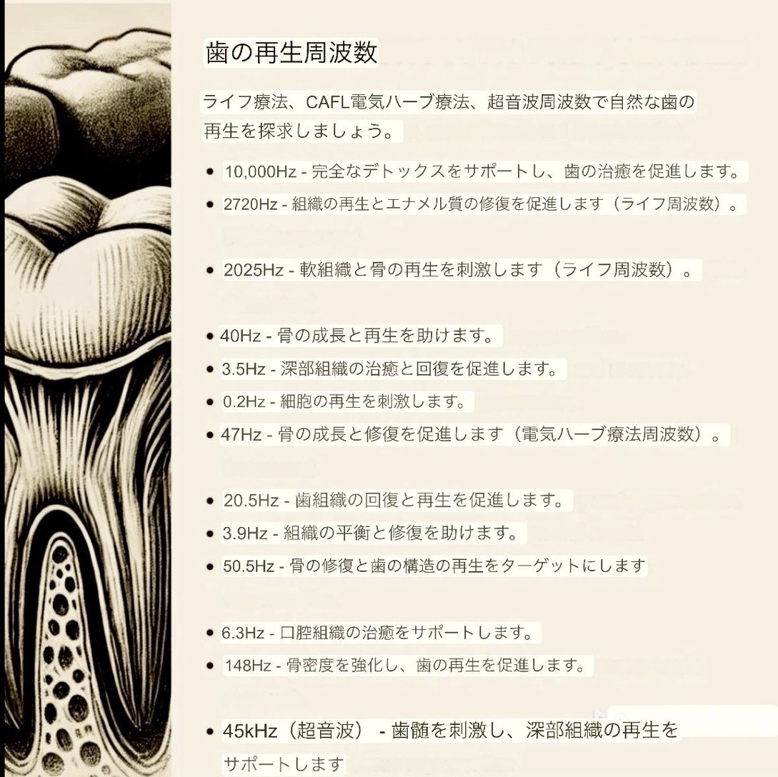 歯をたくさん抜かれて入れ歯がいたくてできないので、
早くメドベッドが来て、歯が生える事を望んでいます。
でも、実は歯の幹細胞は歯茎にあって、生えるような伝令をすると生えるらしいですね。その際神経なども再生するのですって