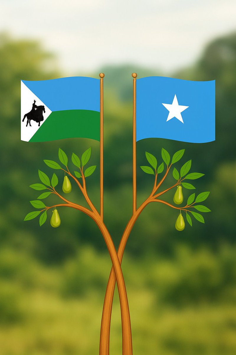 Noor Abdi tweet media