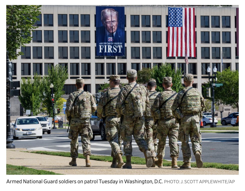 We realize how dystopian this looks right?